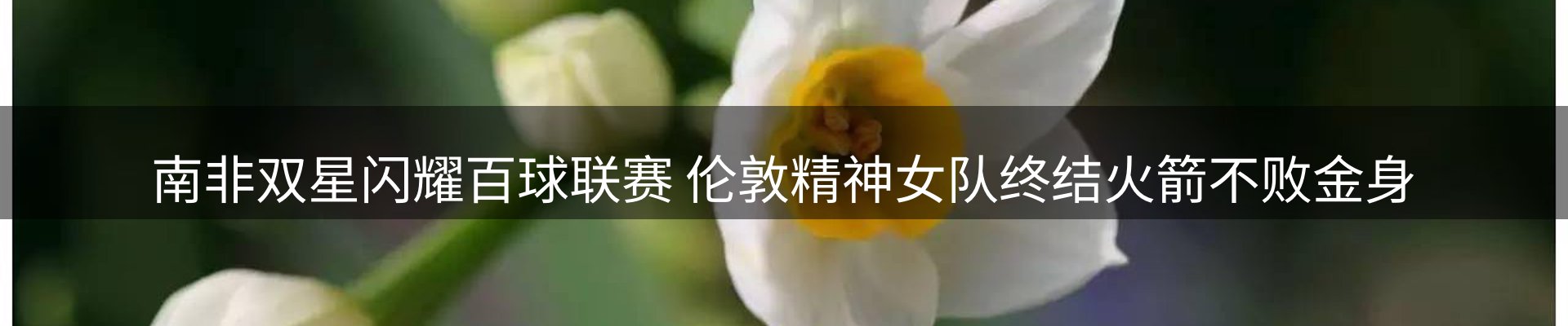 平台资讯
