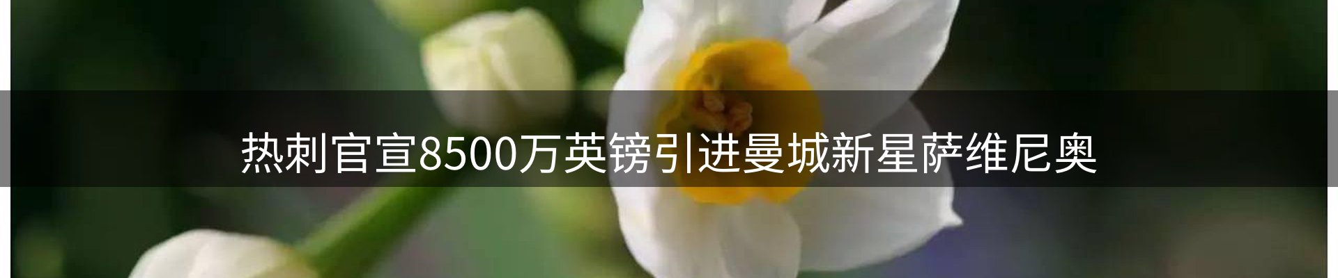 新闻播送