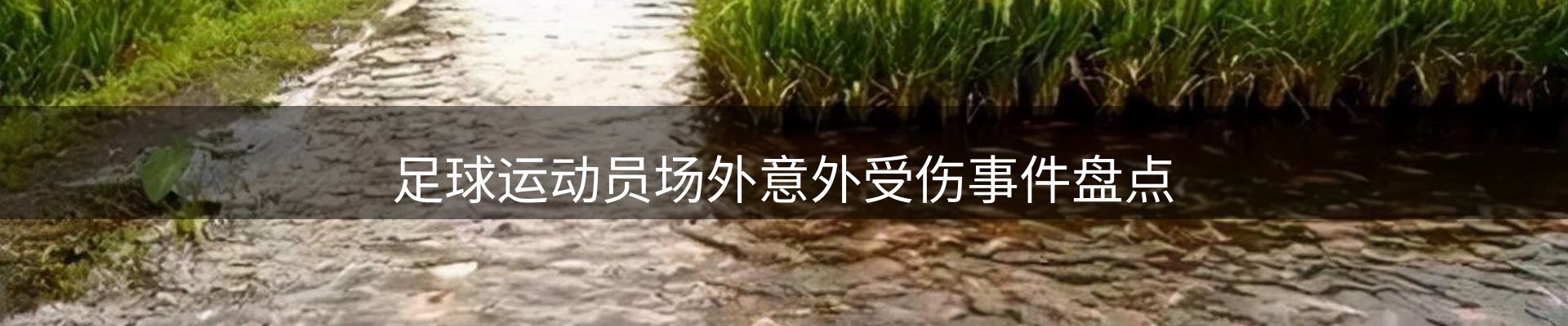 新闻播送